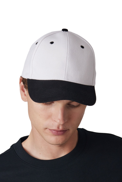 kp188 6 PANELES SAPKA